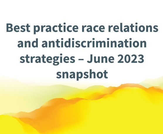 Best practice race relations and antidiscrimination strategies - June 2023 snapshot